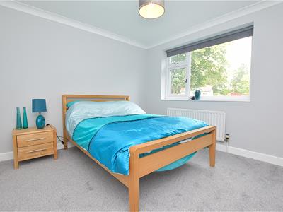 Picture 15